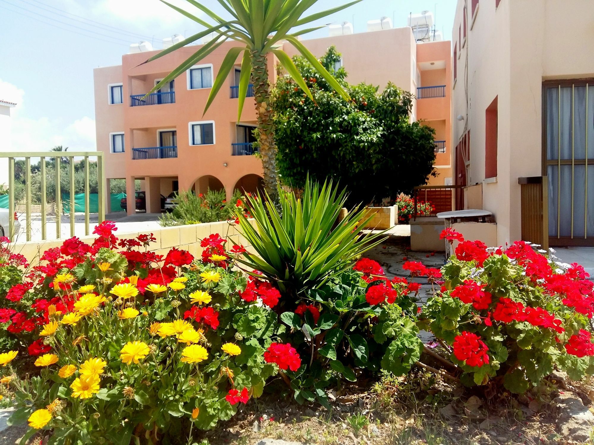 Georgia Apartments Paphos Exterior photo